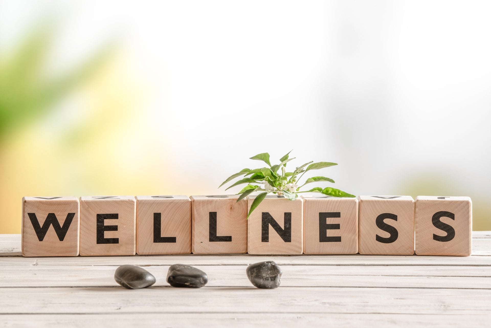 Intramuscular Injection at Wholistic Wellness