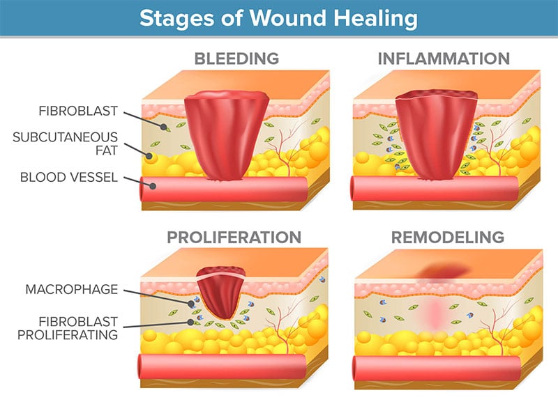 Peptide Therapy at Wholistic Wellness